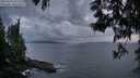 ./images/koeye/fitz-hugh/20250531/fitz-hugh20250531_215508M.jpg