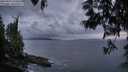 ./images/koeye/fitz-hugh/20250531/fitz-hugh20250531_220009M.jpg