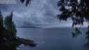 ./images/koeye/fitz-hugh/20250531/fitz-hugh20250531_220509M.jpg