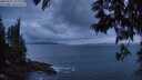 ./images/koeye/fitz-hugh/20250531/fitz-hugh20250531_221009M.jpg