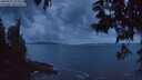 ./images/koeye/fitz-hugh/20250531/fitz-hugh20250531_222008M.jpg
