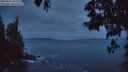 ./images/koeye/fitz-hugh/20250601/fitz-hugh20250601_043508M.jpg