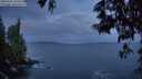 ./images/koeye/fitz-hugh/20250601/fitz-hugh20250601_044508M.jpg