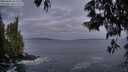 ./images/koeye/fitz-hugh/20250601/fitz-hugh20250601_045509M.jpg