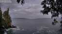 ./images/koeye/fitz-hugh/20250601/fitz-hugh20250601_050009M.jpg