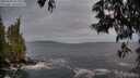 ./images/koeye/fitz-hugh/20250601/fitz-hugh20250601_052508M.jpg