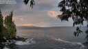 ./images/koeye/fitz-hugh/20250601/fitz-hugh20250601_055009M.jpg