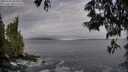 ./images/koeye/fitz-hugh/20250601/fitz-hugh20250601_063010M.jpg
