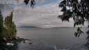 ./images/koeye/fitz-hugh/20250601/fitz-hugh20250601_064010M.jpg