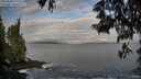 ./images/koeye/fitz-hugh/20250601/fitz-hugh20250601_070509M.jpg