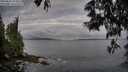 ./images/koeye/fitz-hugh/20250601/fitz-hugh20250601_073508M.jpg