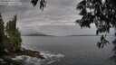 ./images/koeye/fitz-hugh/20250601/fitz-hugh20250601_075510M.jpg