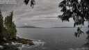 ./images/koeye/fitz-hugh/20250601/fitz-hugh20250601_080012M.jpg