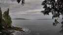 ./images/koeye/fitz-hugh/20250601/fitz-hugh20250601_080510M.jpg