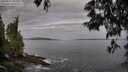 ./images/koeye/fitz-hugh/20250601/fitz-hugh20250601_081011M.jpg