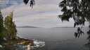 ./images/koeye/fitz-hugh/20250601/fitz-hugh20250601_082510M.jpg