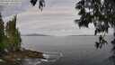 ./images/koeye/fitz-hugh/20250601/fitz-hugh20250601_083509M.jpg