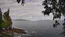 ./images/koeye/fitz-hugh/20250601/fitz-hugh20250601_084010M.jpg