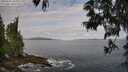 ./images/koeye/fitz-hugh/20250601/fitz-hugh20250601_084511M.jpg