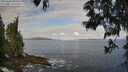 ./images/koeye/fitz-hugh/20250601/fitz-hugh20250601_085011M.jpg