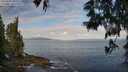 ./images/koeye/fitz-hugh/20250601/fitz-hugh20250601_085510M.jpg