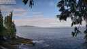 ./images/koeye/fitz-hugh/20250601/fitz-hugh20250601_090012M.jpg