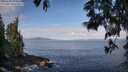 ./images/koeye/fitz-hugh/20250601/fitz-hugh20250601_090510M.jpg