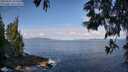 ./images/koeye/fitz-hugh/20250601/fitz-hugh20250601_091010M.jpg