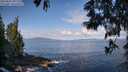 ./images/koeye/fitz-hugh/20250601/fitz-hugh20250601_091509M.jpg