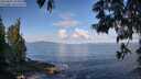 ./images/koeye/fitz-hugh/20250601/fitz-hugh20250601_092010M.jpg