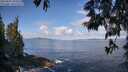 ./images/koeye/fitz-hugh/20250601/fitz-hugh20250601_092509M.jpg