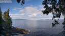./images/koeye/fitz-hugh/20250601/fitz-hugh20250601_093507M.jpg