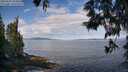 ./images/koeye/fitz-hugh/20250601/fitz-hugh20250601_094510M.jpg