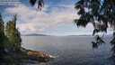 ./images/koeye/fitz-hugh/20250601/fitz-hugh20250601_095011M.jpg