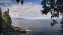 ./images/koeye/fitz-hugh/20250601/fitz-hugh20250601_095509M.jpg