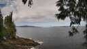 ./images/koeye/fitz-hugh/20250601/fitz-hugh20250601_104010M.jpg