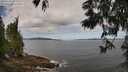 ./images/koeye/fitz-hugh/20250601/fitz-hugh20250601_104511M.jpg