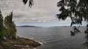 ./images/koeye/fitz-hugh/20250601/fitz-hugh20250601_105508M.jpg