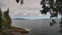 ./images/koeye/fitz-hugh/20250601/fitz-hugh20250601_110012M.jpg