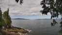 ./images/koeye/fitz-hugh/20250601/fitz-hugh20250601_111509M.jpg