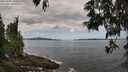 ./images/koeye/fitz-hugh/20250601/fitz-hugh20250601_114511M.jpg