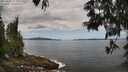 ./images/koeye/fitz-hugh/20250601/fitz-hugh20250601_115010M.jpg