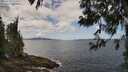 ./images/koeye/fitz-hugh/20250601/fitz-hugh20250601_125010M.jpg
