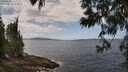 ./images/koeye/fitz-hugh/20250601/fitz-hugh20250601_125510M.jpg