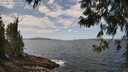 ./images/koeye/fitz-hugh/20250601/fitz-hugh20250601_130510M.jpg