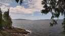 ./images/koeye/fitz-hugh/20250601/fitz-hugh20250601_131511M.jpg