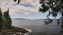 ./images/koeye/fitz-hugh/20250601/fitz-hugh20250601_132510M.jpg