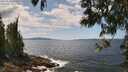 ./images/koeye/fitz-hugh/20250601/fitz-hugh20250601_133507M.jpg