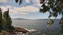 ./images/koeye/fitz-hugh/20250601/fitz-hugh20250601_134010M.jpg