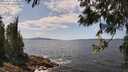 ./images/koeye/fitz-hugh/20250601/fitz-hugh20250601_134509M.jpg
